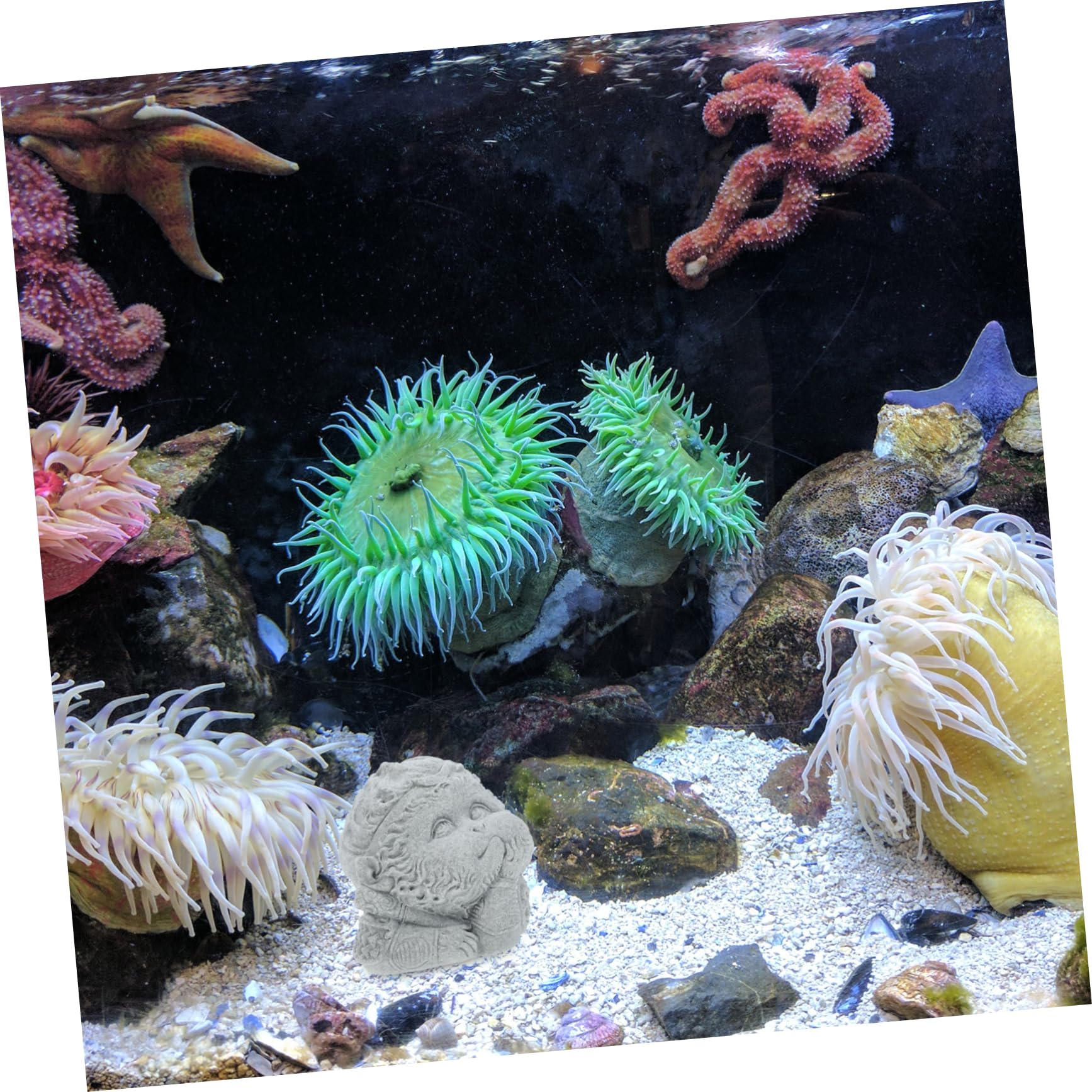 Cabilock 5 Piezas Acuario Figurilla hogar pequeño Buda Decoraciones de peceras estatuas de Adornos en Interiores Estatua Antigua del Tanque de Peces decoración Mini pecera Arenisca Azul