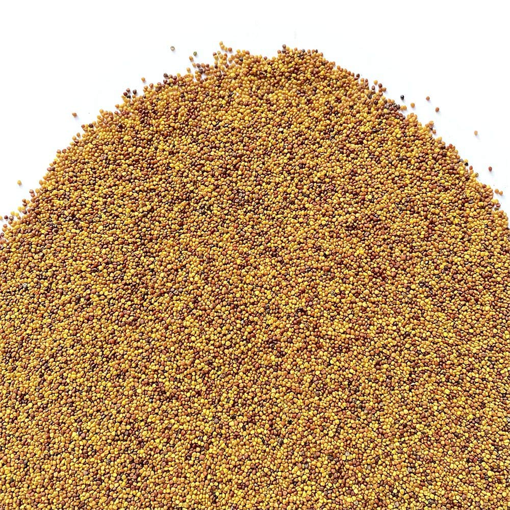 Il Contadino - Antiche Sementi | TRIFOGLIO BIANCO NANISSIMO con RHIZO | Tappeto con foglie molto piccole, Bassa manutenzione, Tagli poco frequenti, Abbastanza resistente all'ombreggiamento (5 Kg)