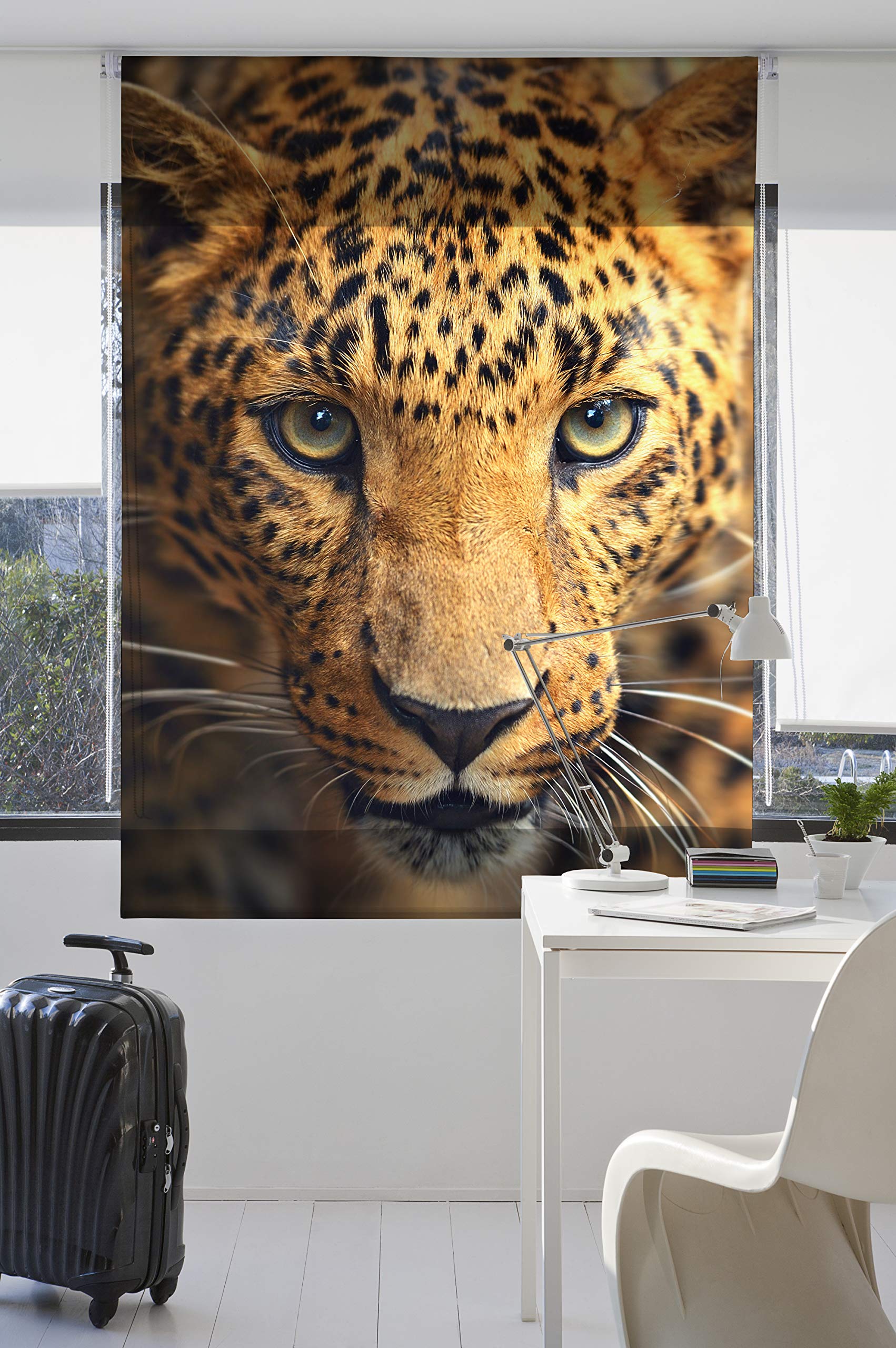 Estoralis | Animaux | Store Enrouleur | sans Outil Tissu translucide imprimé | A-122 | 120 x 150 cm. (Largeur/Hauteur) Taille du Tissu 117 x 150 cm. | Stores pour fenêtres et Portes