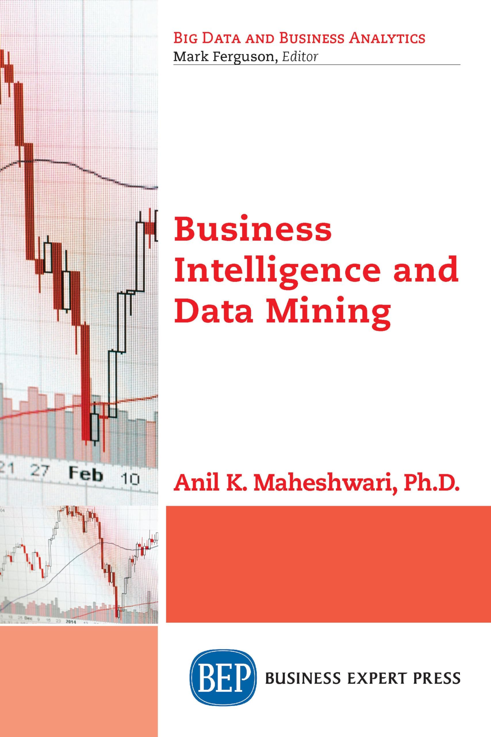 Business Intelligence and Data Mining (Big Data and Business Analytics)
