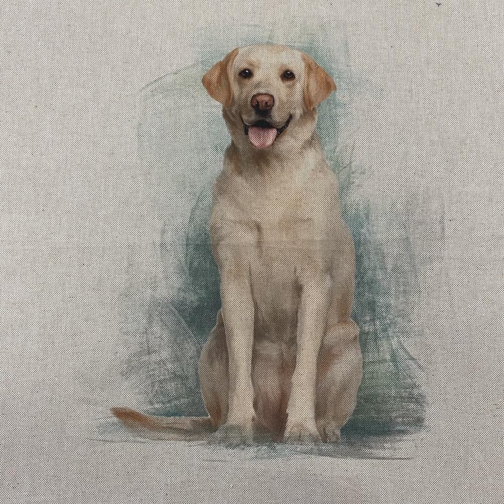 Linen Look Digital Print Fabric Panel 18" Square 45cm - Per Panel (Labrador)