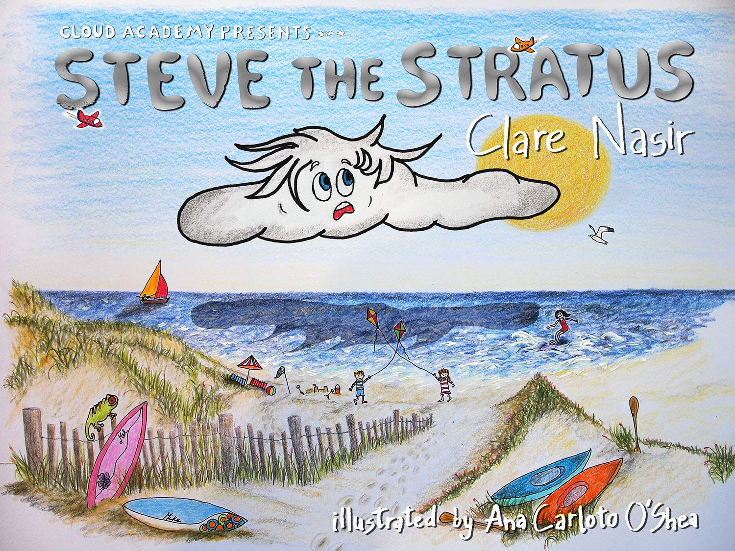 STEVE THE STRATUS (CLOUD ACADEMY SERIES Book 2)