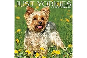 Scottie Dog Calendars 2024: Pocket-Sized Companions for Every Month