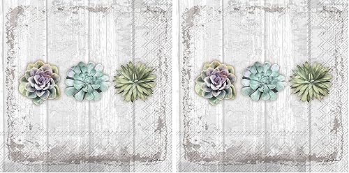 Vista 3 de Boston International C026500 IHR - Servilletas de papel para bebidas de cóctel, 5 x 5 pulgadas, suculentas bodegón