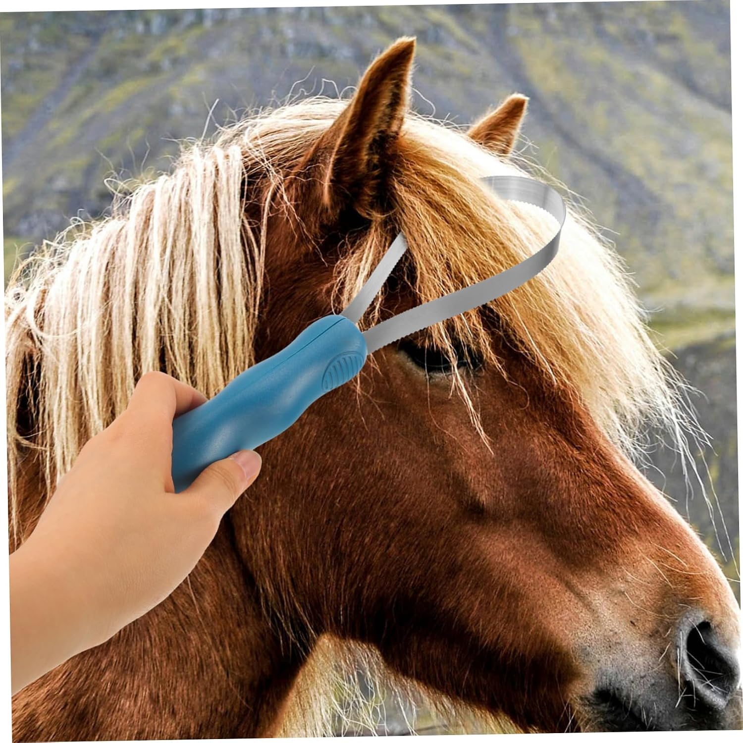 Horse Massage Cleaning Brush Livestock Hairbrush Stainless Steel Grooming Brush for Horse