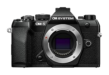 OLYMPUS - オリンパスOM-D E-M5MarkⅡのボディ超美品！ オリンパス OLYMPUS OM-D E-M5 Mark II ボディ 価格比較 - 価格.com