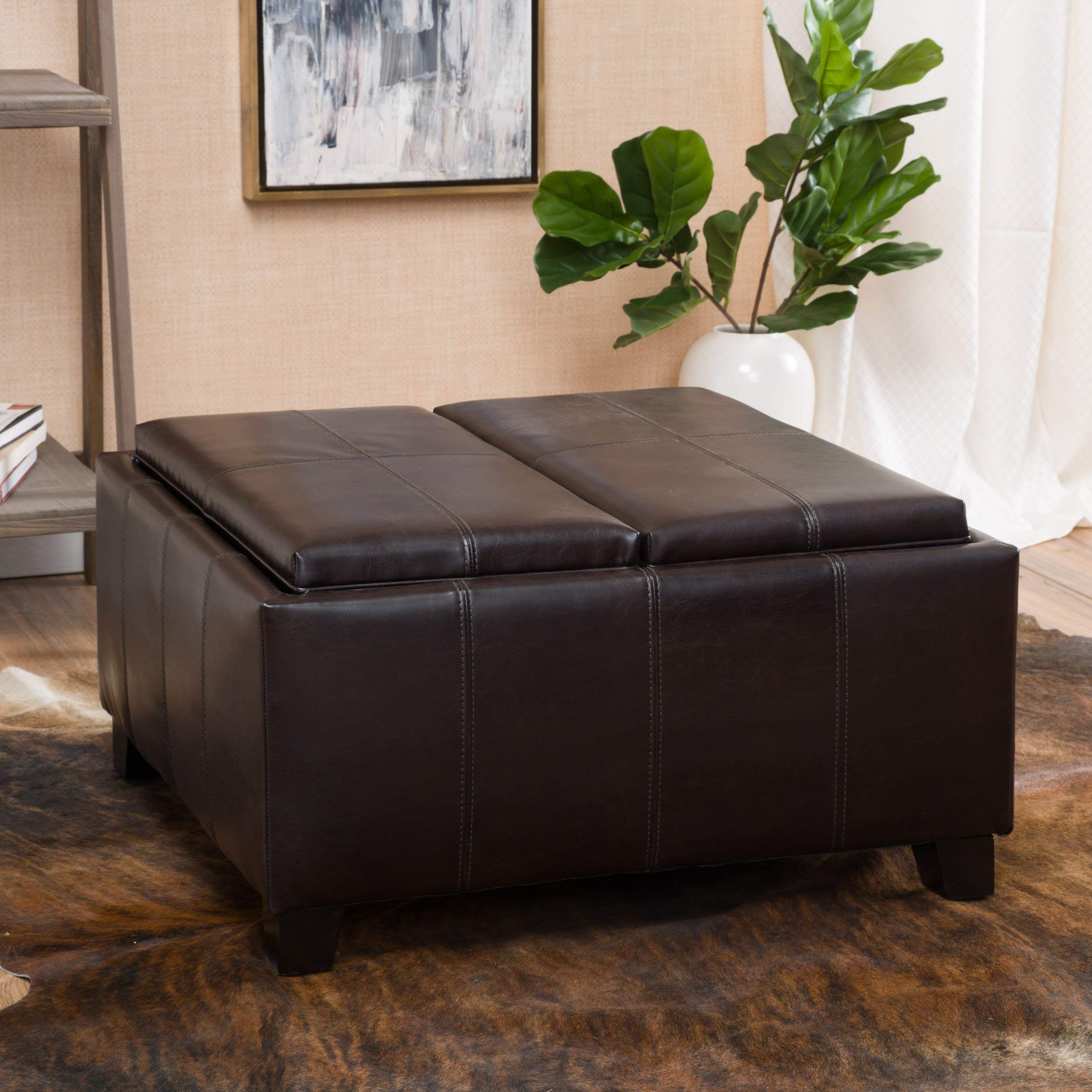 Christopher Knight Home 296879 Living Justin Brown Leather Tray Top Storage Ottoman, (Renewed)