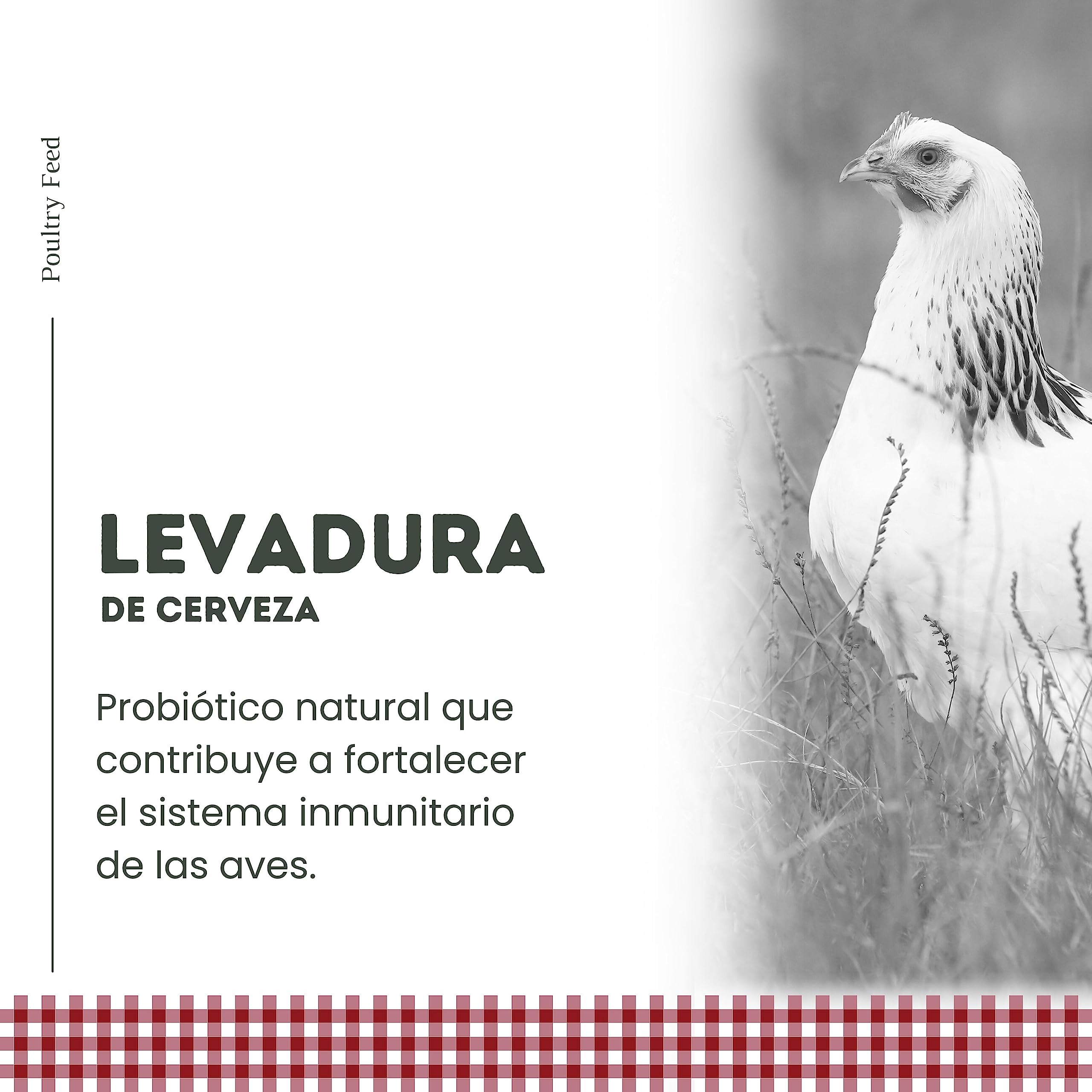 Pienso para Gallinas Ponedoras y Ornamentales | Alimento con Fórmula Exclusiva | Poultry Feed Saco 25 kg | Rico en Proteínas y Grasas Saludables para un Plumaje Vistoso (Pack 6)