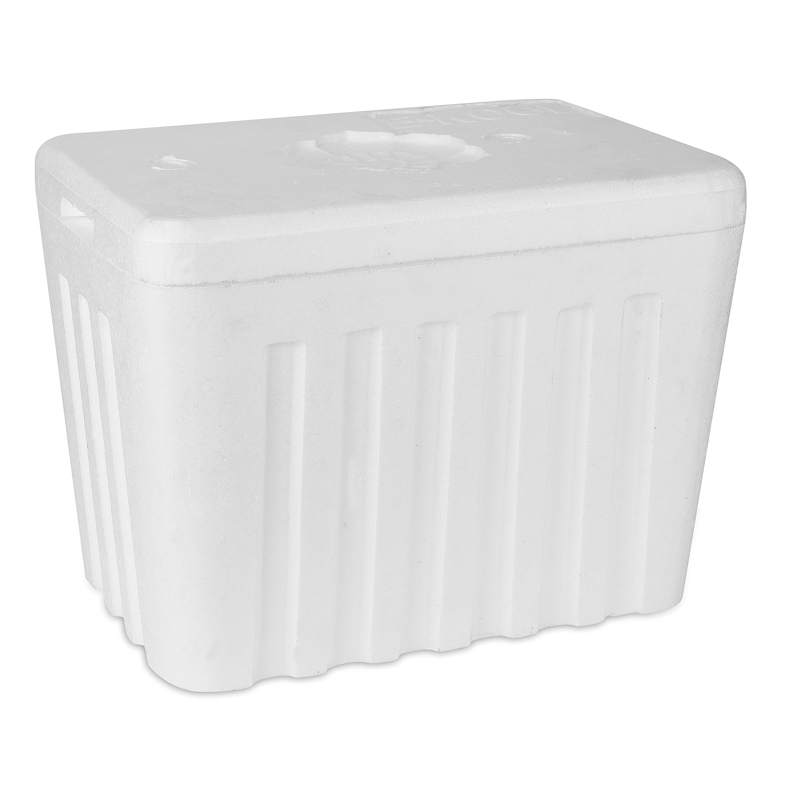 EPS Ice Box(30 litres),Heat and Cold Resistance (B09G66JJVM) Amazon Price History, Amazon Price Tracker