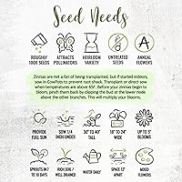 Vista 7 de Seed Needs Zinnia Seeds 15+ variedades Specialty Crazy Blend Más de 1000 semillas de Zinnia Elegans de polinización abierta Incluye California