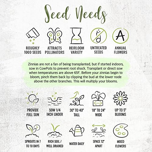 Vista 7 de Seed Needs Zinnia Seeds 15+ variedades Specialty Crazy Blend Más de 1000 semillas de Zinnia Elegans de polinización abierta Incluye California