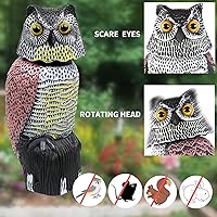 Vista 7 de Señuelos de búho para asustar a los pájaros con cabeza giratoria, ojos realistas disuasorios naturales de aves enemigas y forma impermeable, búho