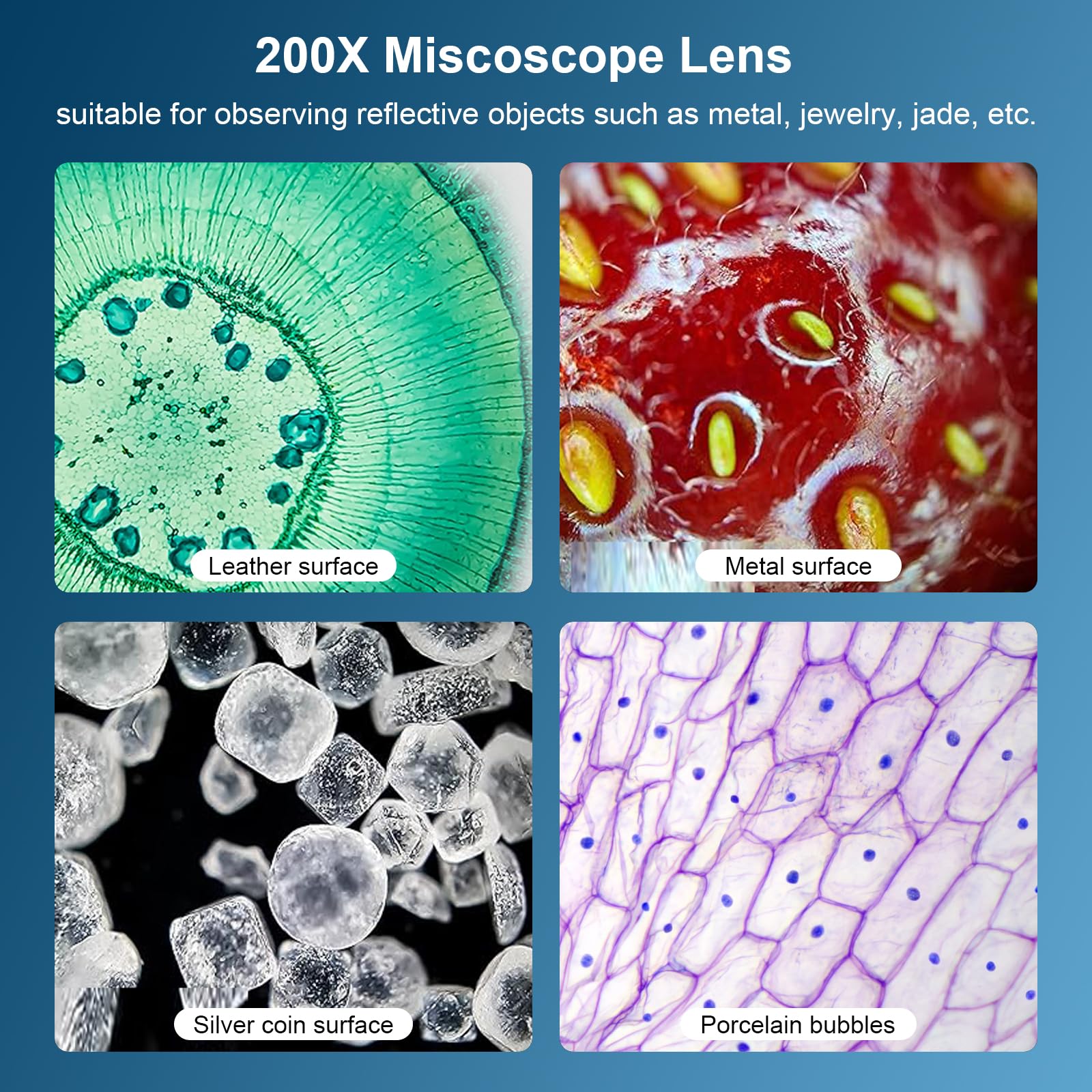 400x Mini-Mikroskop Für Smartphone - Tragbares Taschenmikroskop Mit LED-Licht Für Kinder & Erwachsene