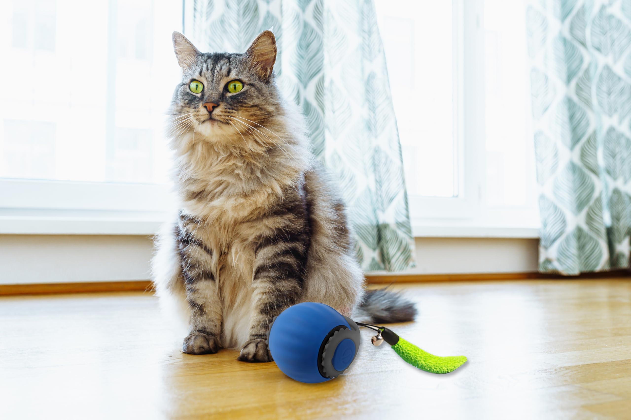 Jouet interactif pour chat d'intérieur - Balle à rouler rapidement sur tapis (bleu)