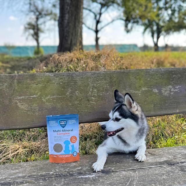 Foto 8 de 8 de Marsavet Complejo Multi-Mineral en Polvo para Perros y Gatos, 4 x 125 g, Complemento Alimenticio con Vitaminas