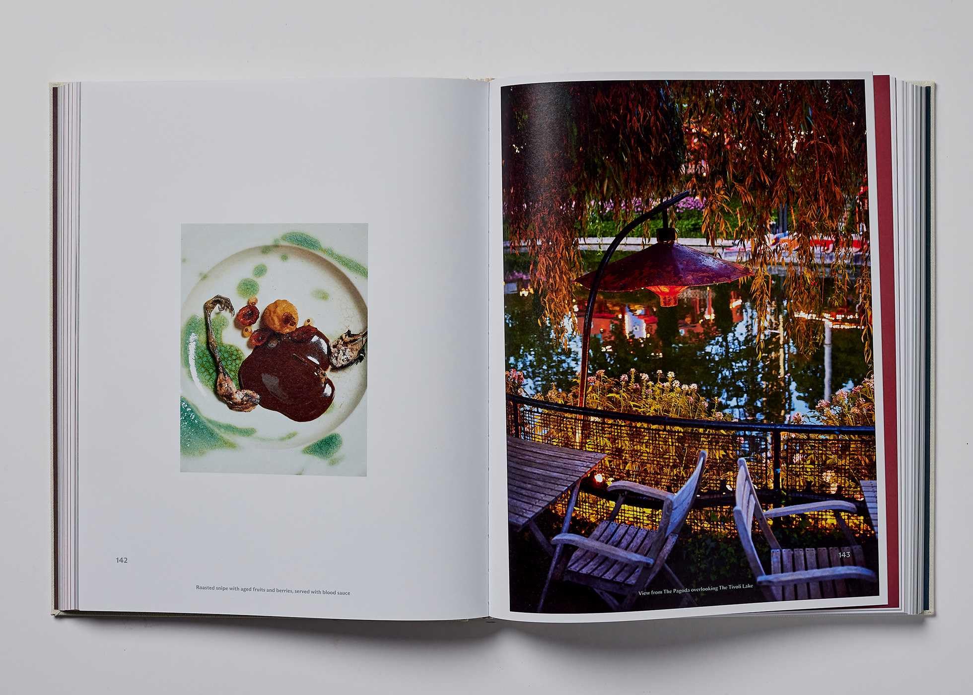 The Pagoda /anglais