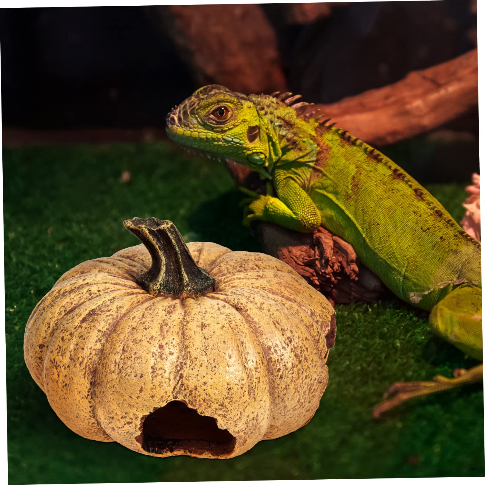 Decorativa Caverna Per Rettili Finta Forma Di Zucca Rifugio Delicato Per Terrario Nascondiglio Multifunzionale Per Animali Esotici e Betta Design Realistico Per Decorazioni