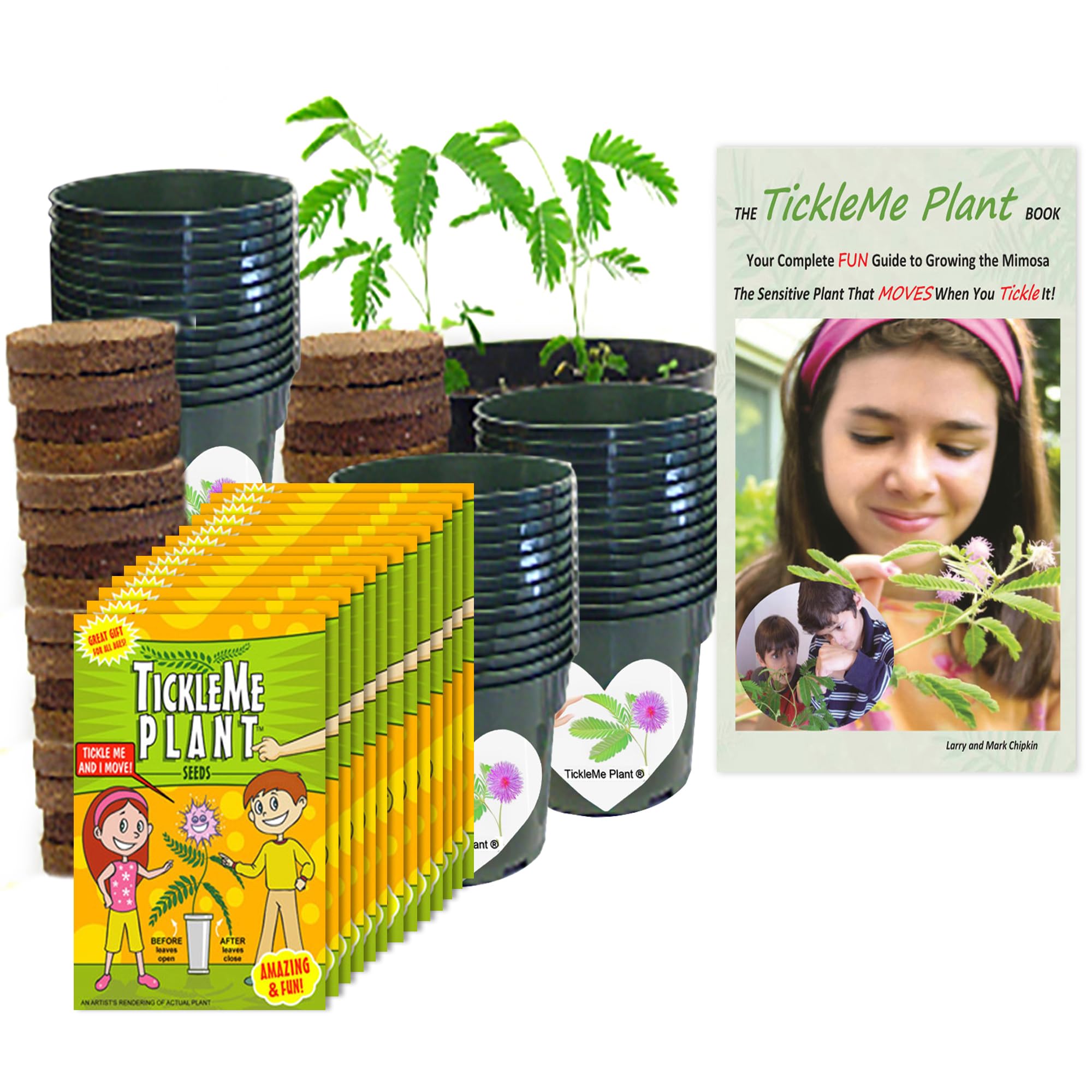 TickleMe Plant Classroom or Homeschool Science Fun Planting Party Kit – for 30 Students – Grow a Sensitive Plant That Reacts to Touch – Includes Activity Book and Seeds for Kids to Plant