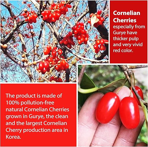 Miniatura 4 de Freenong - Líquido de extracto de cereza de cornalina seca natural coreana, jugo de fruta de Cornus Officinalis, jugo saludable de Shan Zhu Yu, jugo