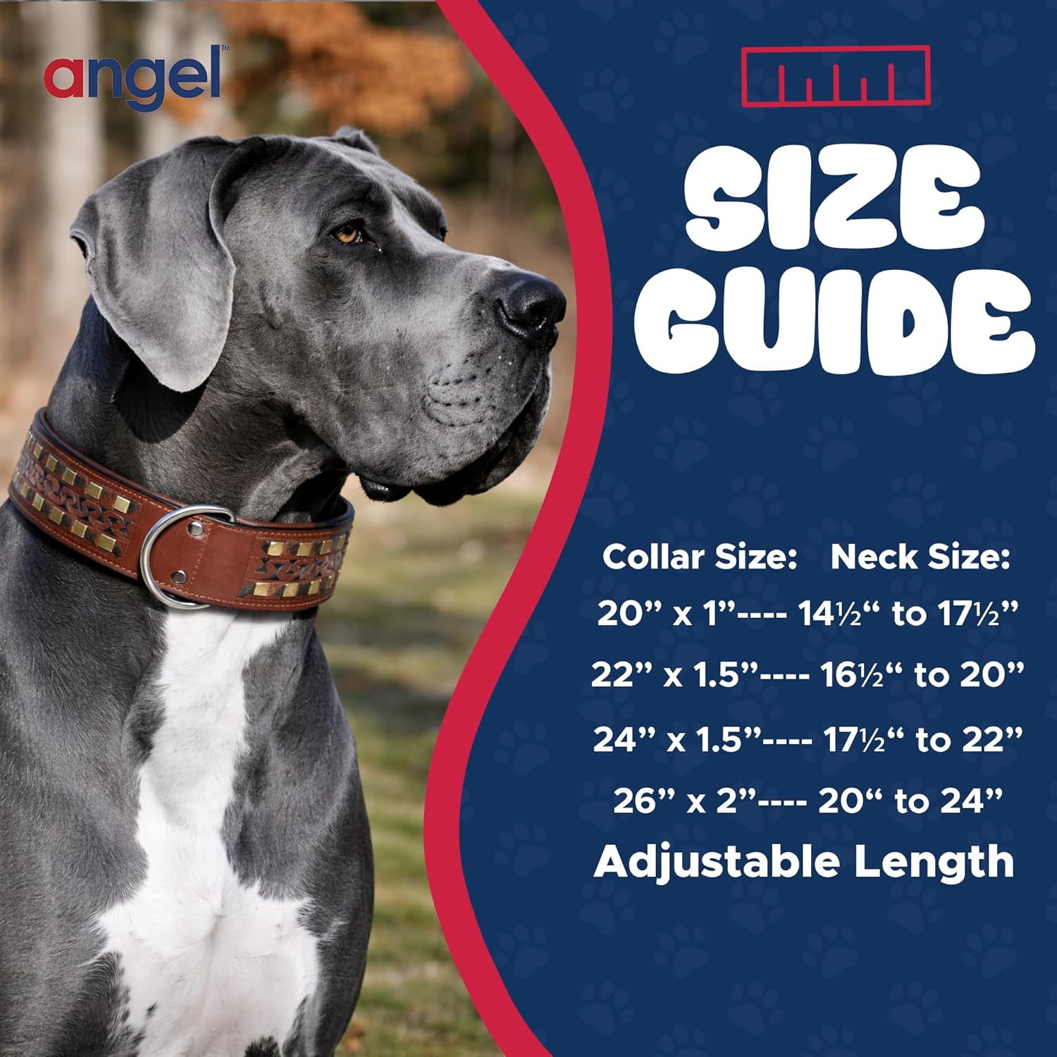 Angel, Tulsa Genuine Leather Tooled Dog Collar, 26" x 2",Brown. Soft, Padded and Strong, for Neck Size 19"- 23", 100% Argentinean Cowhide, Angel Elite Collection