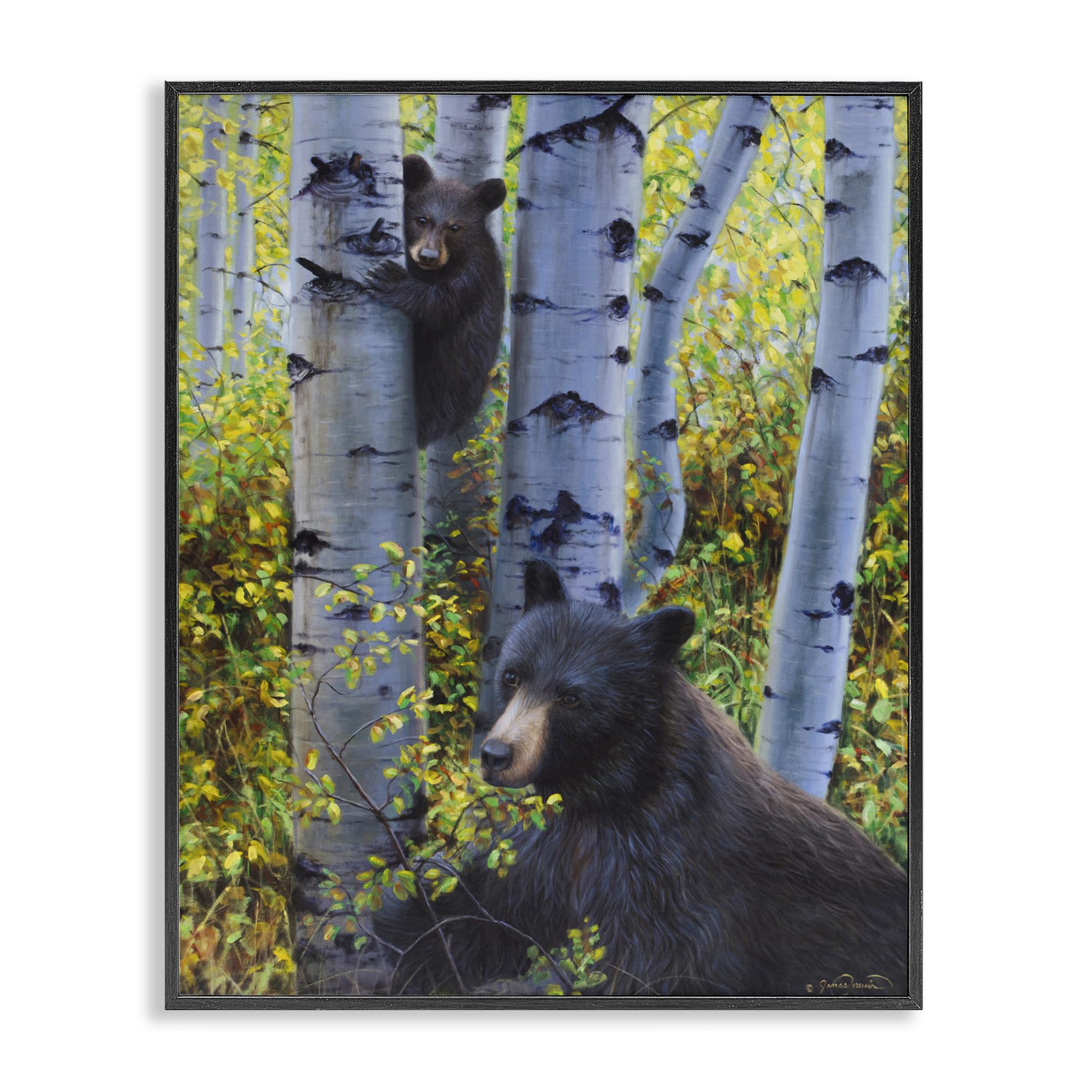 Poster encadré 2 ours sauvage d'automne pour s'évader au cœur des forêts canadiennes