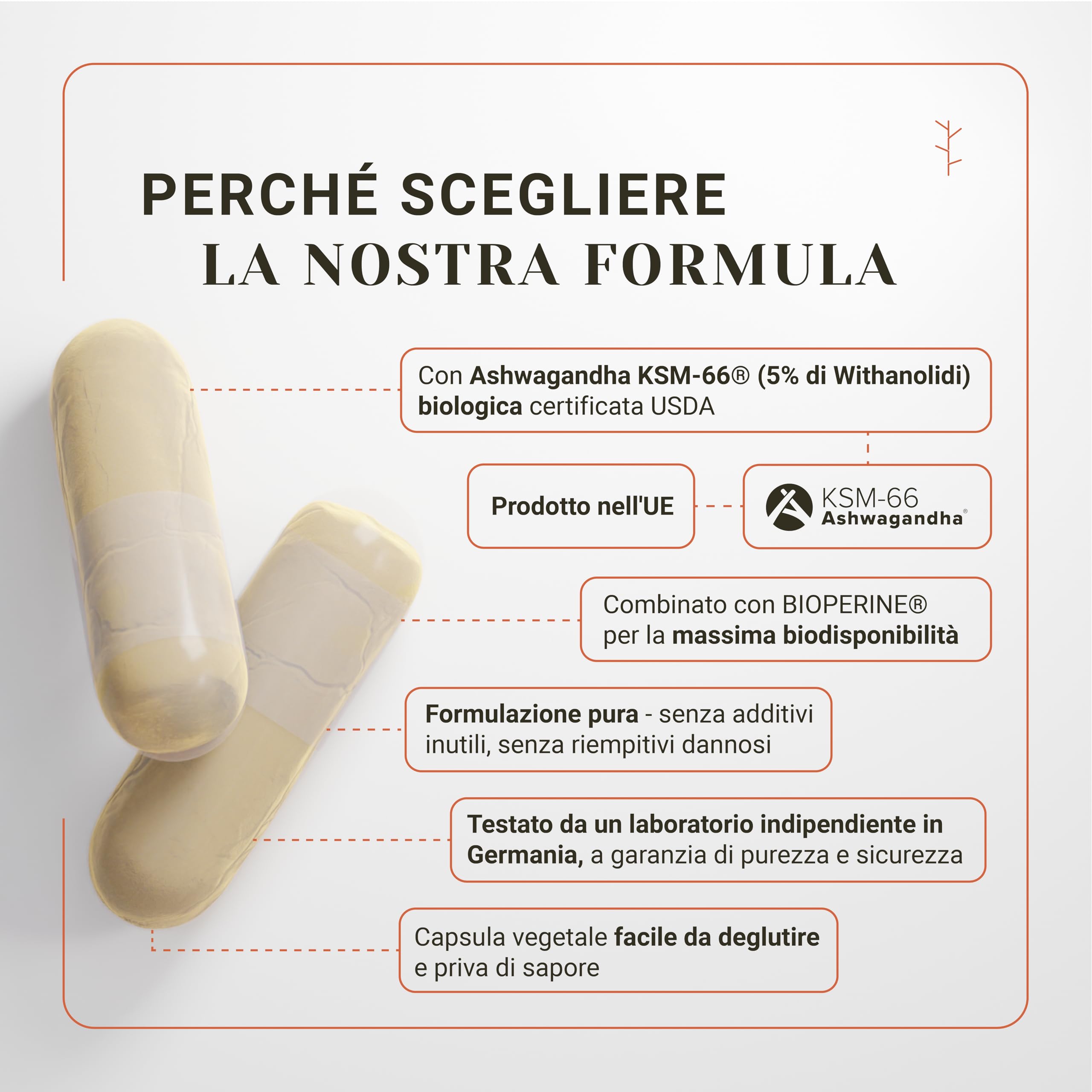 Nullure Bio Ashwagandha KSM-66 - Organica + BioPerine | Testato in Germania | 600 mg | 5% Withanolidi | Vegano | Abassare il Cortisolo · Equilibrio · Vitalità | 120 capsule (2 mesi)