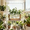 Product Photo 9