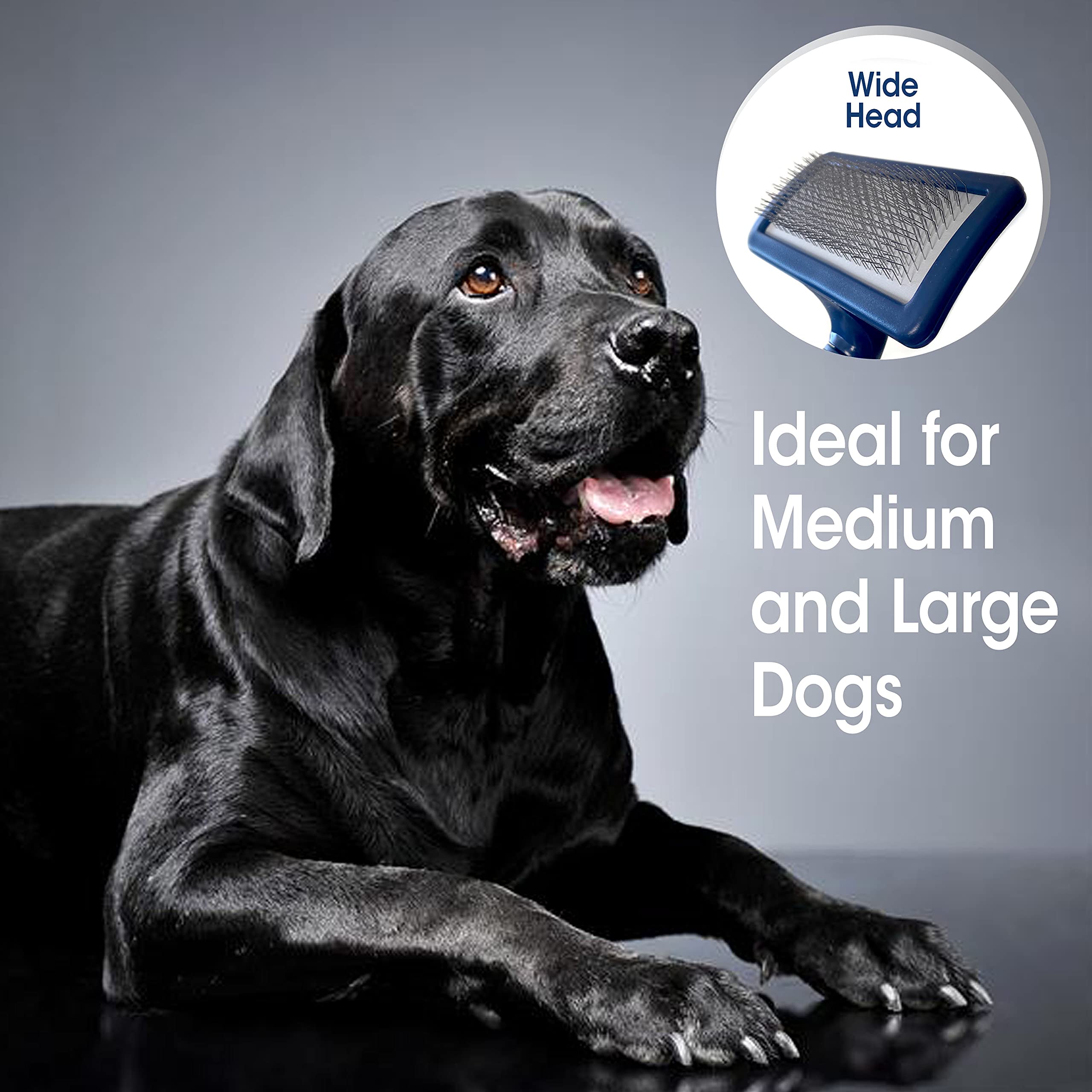 Four Paws Magic Coat - Cepillo Mediano para Perros