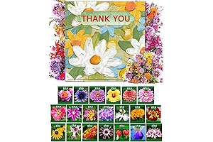 20 Variety Mix Wildflower Seed Packets Gift Card: Wedding Favors of Love...