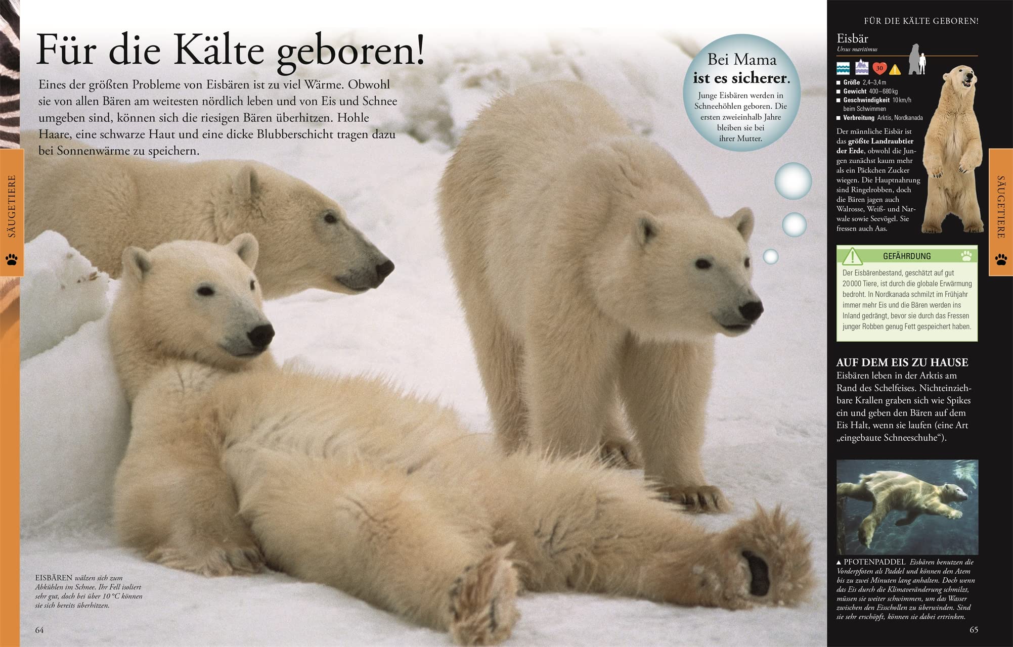 Wissen für clevere Kids. Tiere für clevere Kids: Lexikon mit 1500 farbigen Fotos und Illustrationen für Kinder ab 8 Jahren