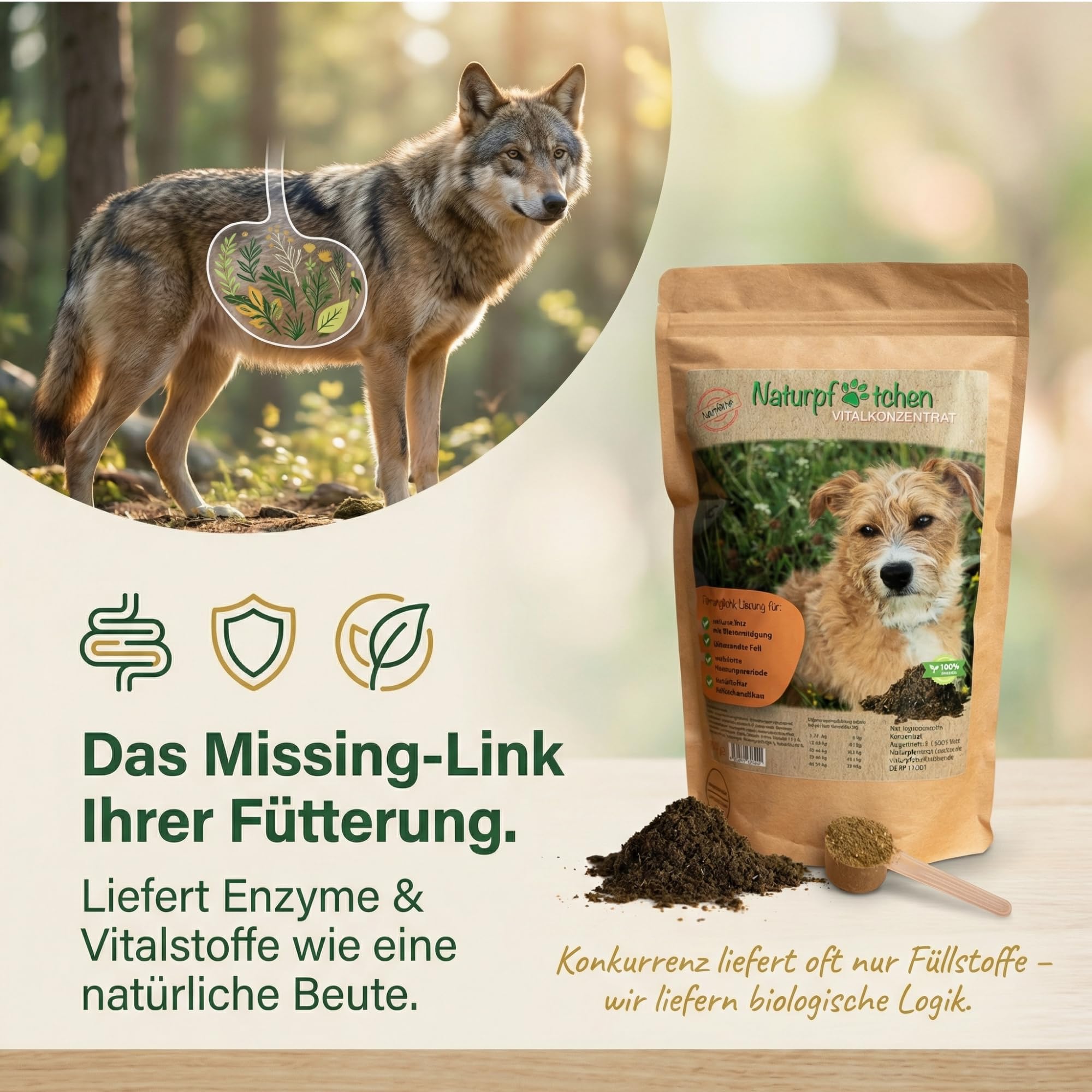 halsband telefonnummer Personalisiertes Hundehalsband inkl. Telefonnummer – Dogrocket Shop