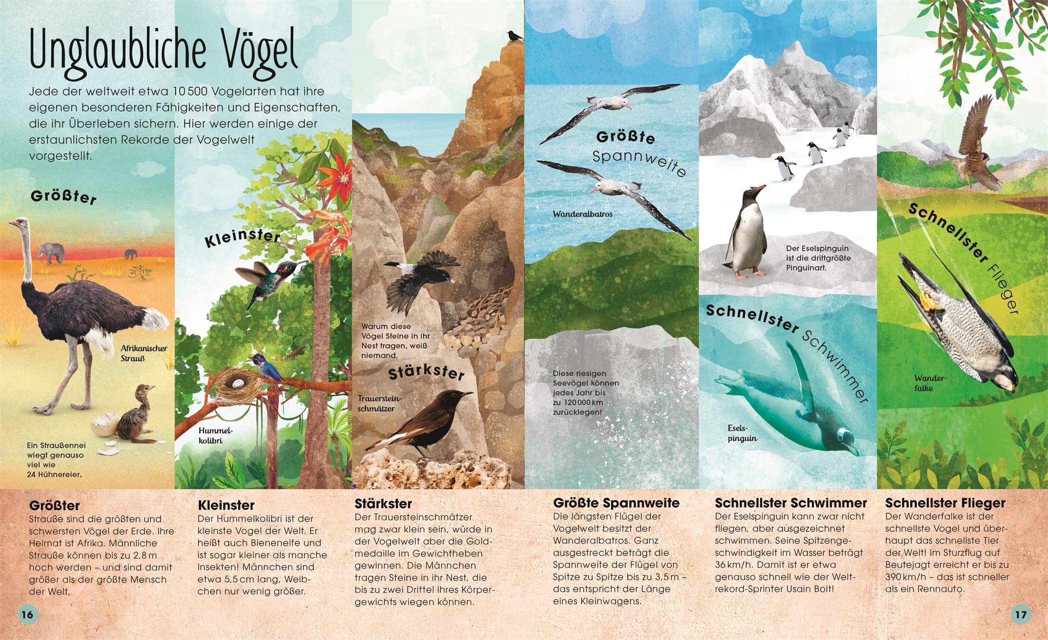 Die schillernde Welt der Vögel: Ein farbenprächtiges Natursachbuch. Für Kinder ab 7 Jahren