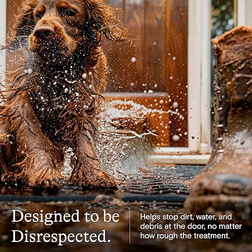 Miniatura 9 de Bungalow Flooring Waterhog - Tapete para puerta de pasillo, 2 x 5 pies, fabricado en Estados Unidos, duradero y decorativo, antideslizante