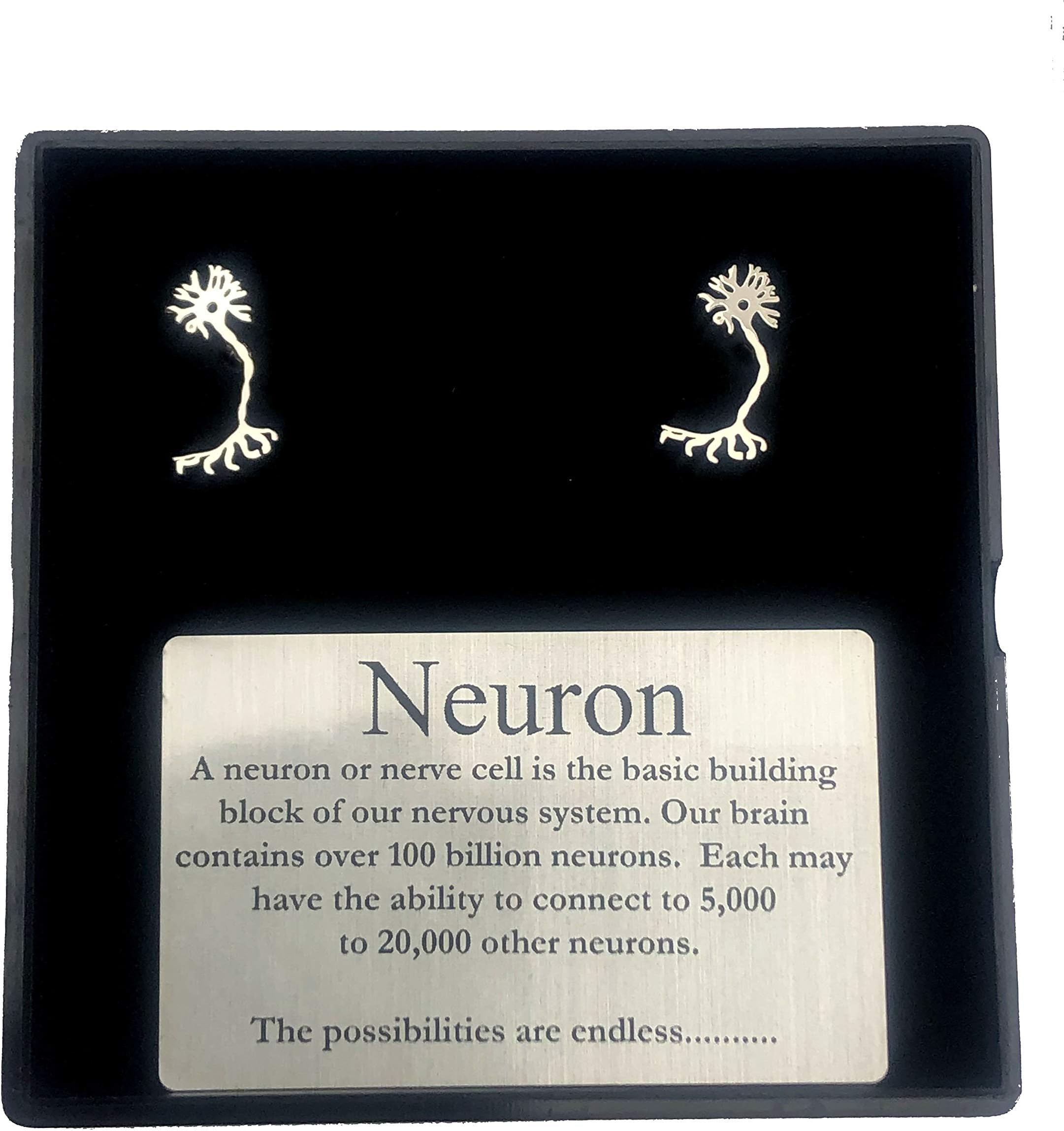 AnatomologyNeuron Stud Earrings Neuron Post Earrings Neuron Earrings