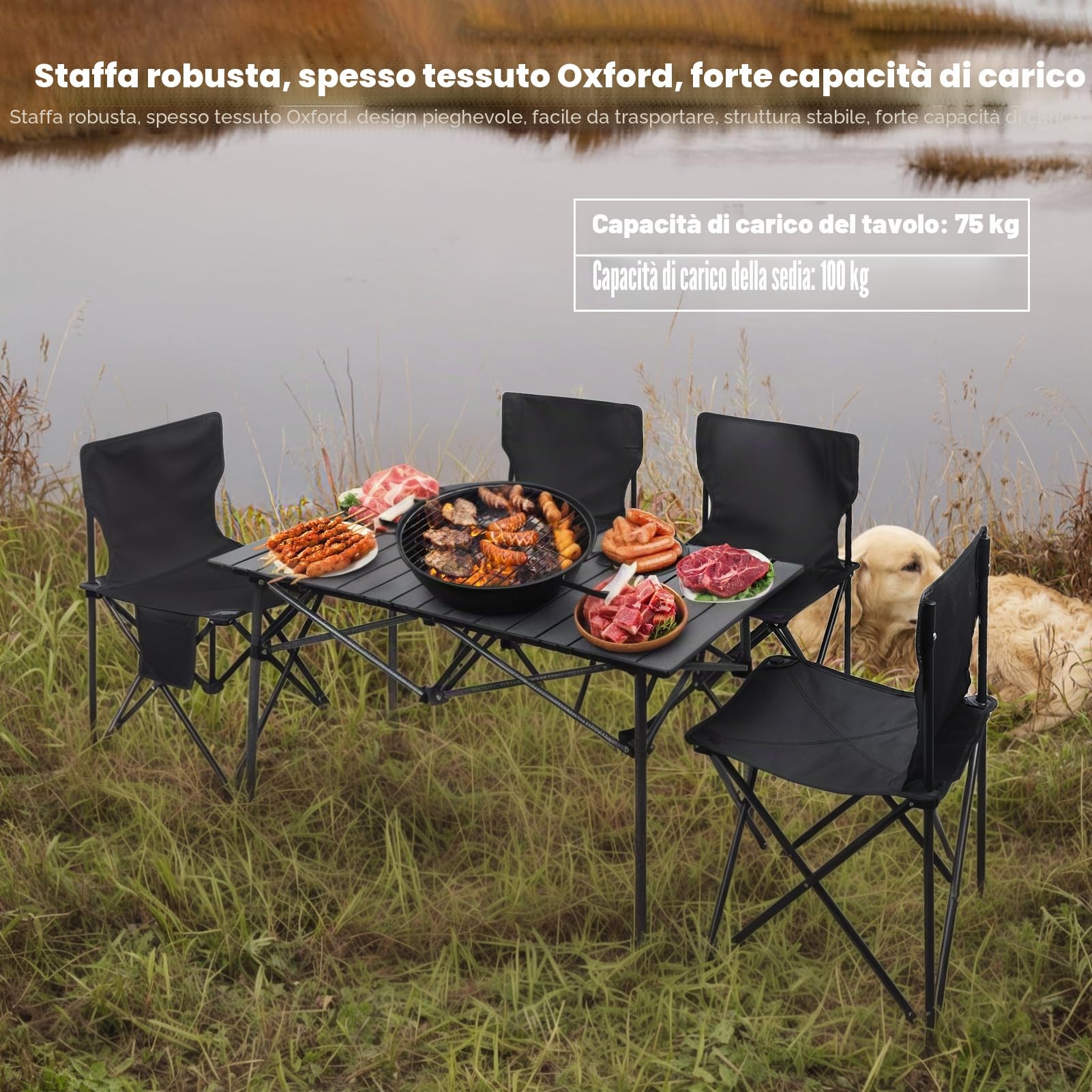 Set di tavolo e sedie da campeggio, tavolo e sedie da picnic pieghevoli, in metallo, portatili, 4 sedie, con grande organizer e borsa per il trasporto, per picnic, campeggio, barbecue, nero