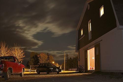 Miniatura 8 de Luz led Feit 73995 de repuesto, de 300W y 5000K, de intensidad no regulable, para patio