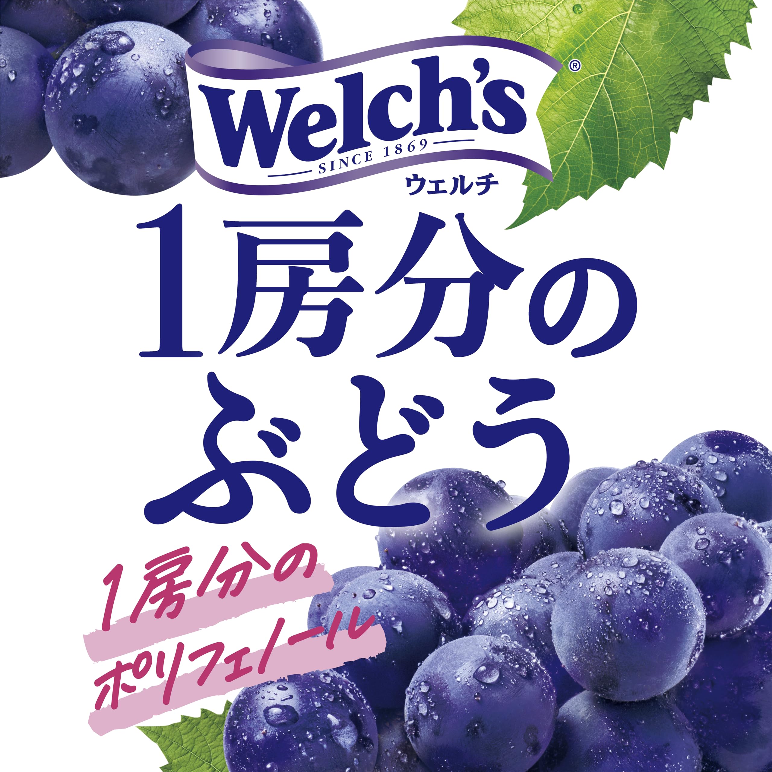 ウェルチ出品 Welch's(ウェルチ) アサヒ飲料 1房分のぶどう 470ml×24本