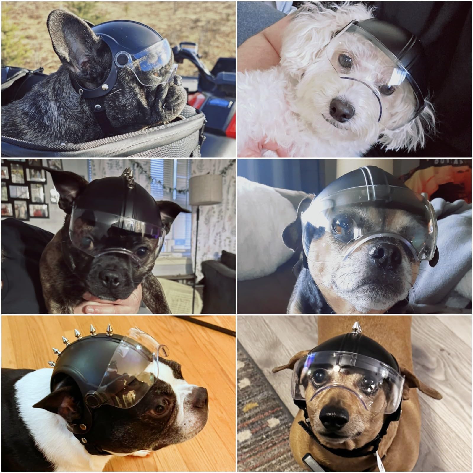 Namsan Dog Helmets for Small Dogs, Dog Helmet with Clear Lens Goggles, Doggie Helmets Hat with Ear Holes, Bike Doggie Helmet for Small to Medium Dogs, Adjustable, Top Spikes, Black