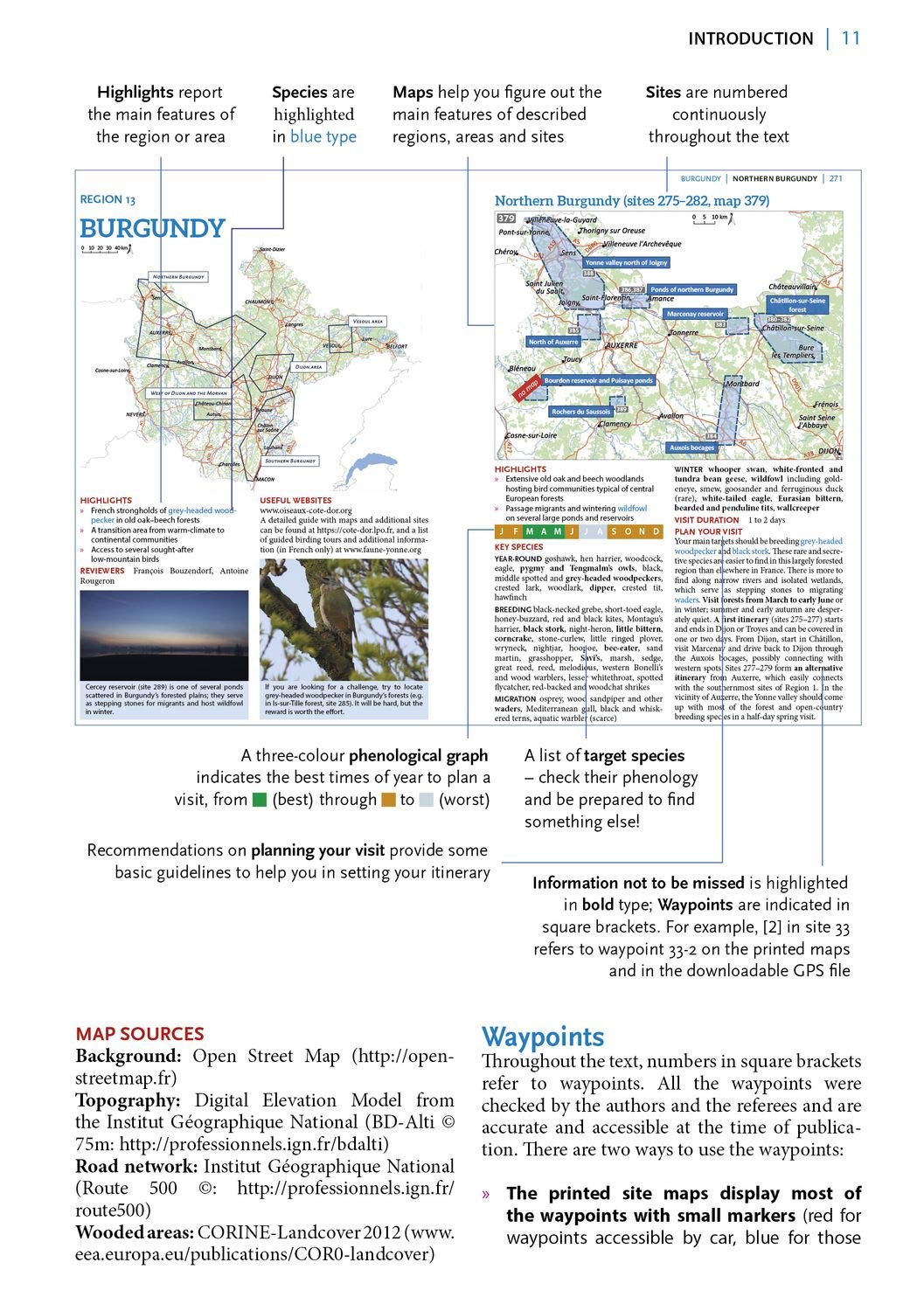 Where to Watch Birds in France
