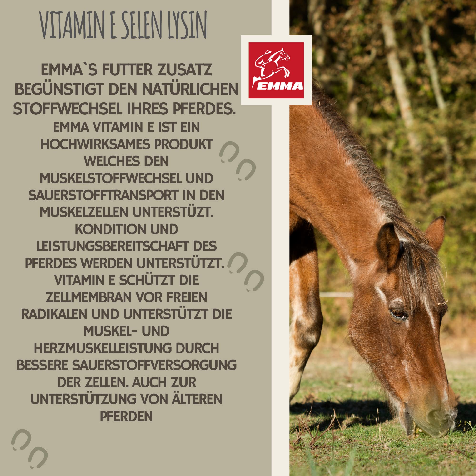 Vitamine E Cheval I Sélénium lysine Cheval I e Liquide complément Alimentaire Energy Booster Musculature I Renforcement Musculaire I Aliment reconstituant pour Chevaux Senior minéraux Chevaux 1L