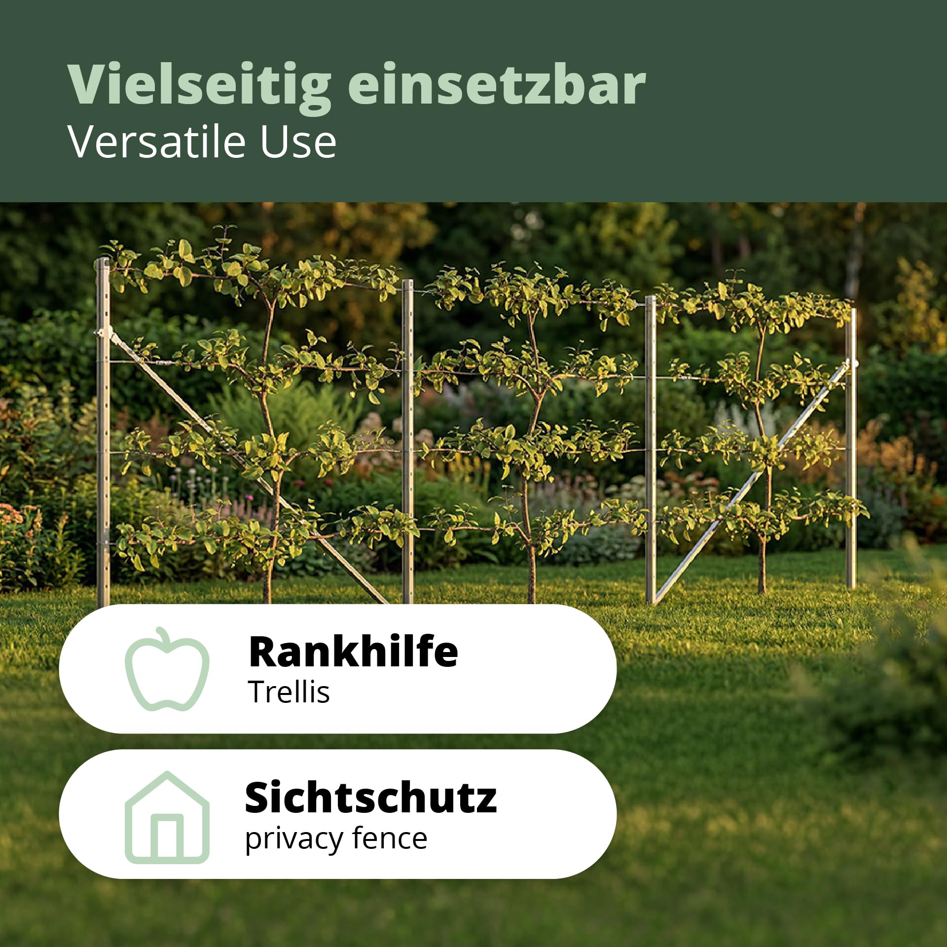 RANKI ™ - Rankhilfe für Kletterpflanzen - Spalier auf Plantagenstandard für Wein, Kiwi, Kiwibeeren, Rosen, Clematis, Spalierobst (1-Feld (2,5 Meter))