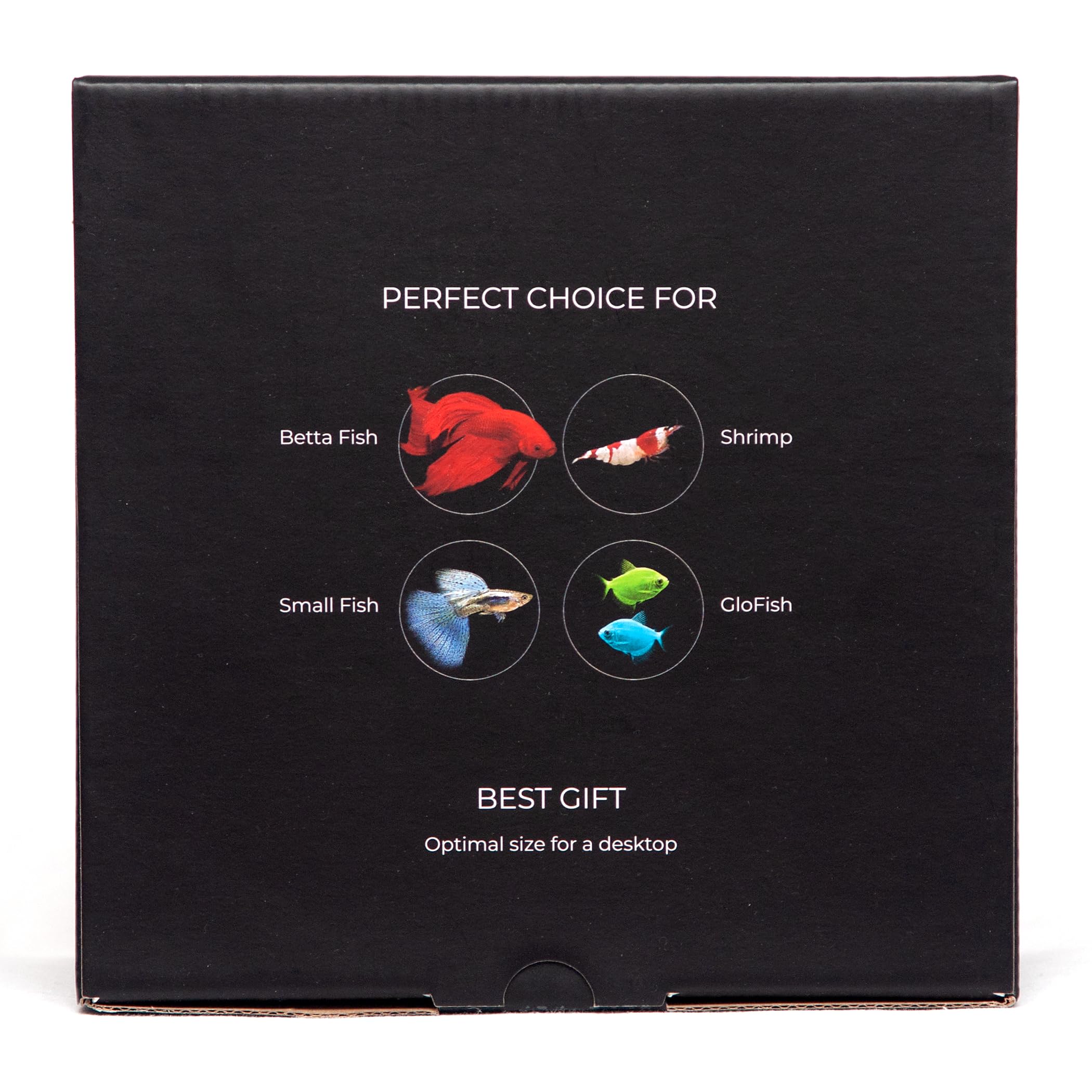 COLLAR AquaLighter LumiSet 5l - Nano-Aquarium mit Ultra-transparentem Glas mit leuchtenden Kanten - mit Abdeckscheibe, Unterlegmatte und LED-Beleuchtung