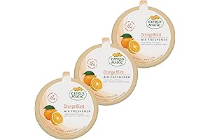 Orange Air Freshener Spray Pure Citrus