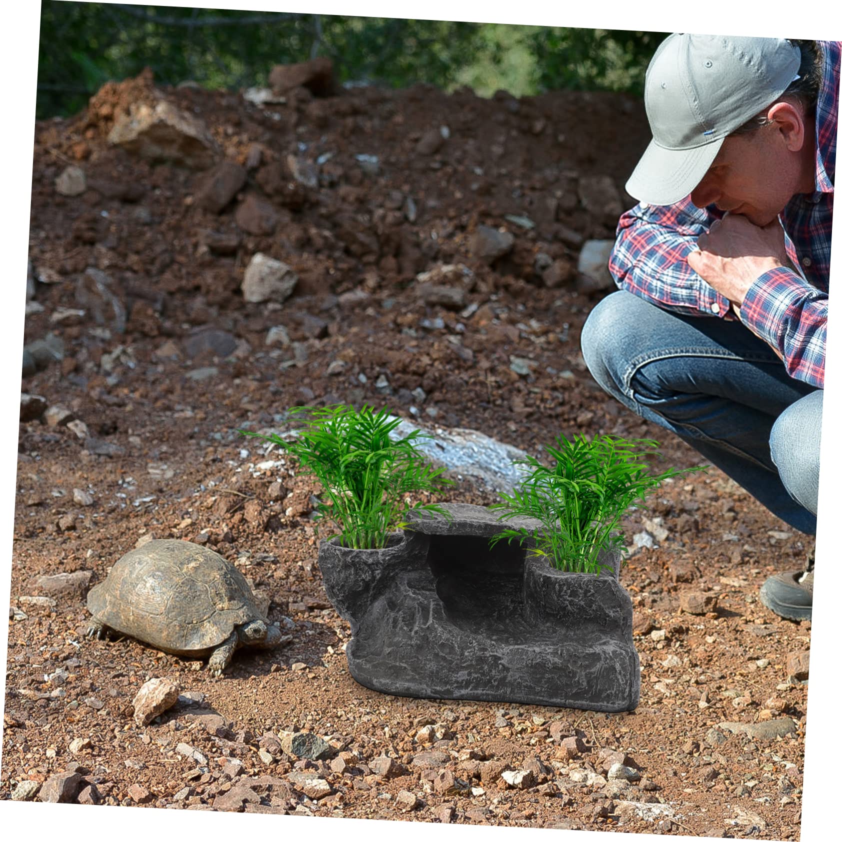 COLLBATH Adornos Paisajísticos para Peceras De Tortugas Plataforma De Resina para Tortugas para Decorativa para Acuario y Suministros para De Agua