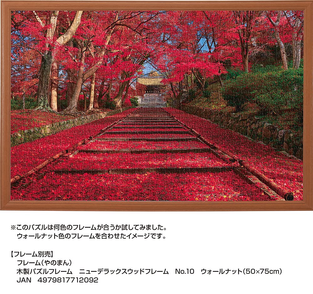 Amazon | 1000ピース ジグソーパズル 秋色の紅葉参道 (京都) (50x75cm