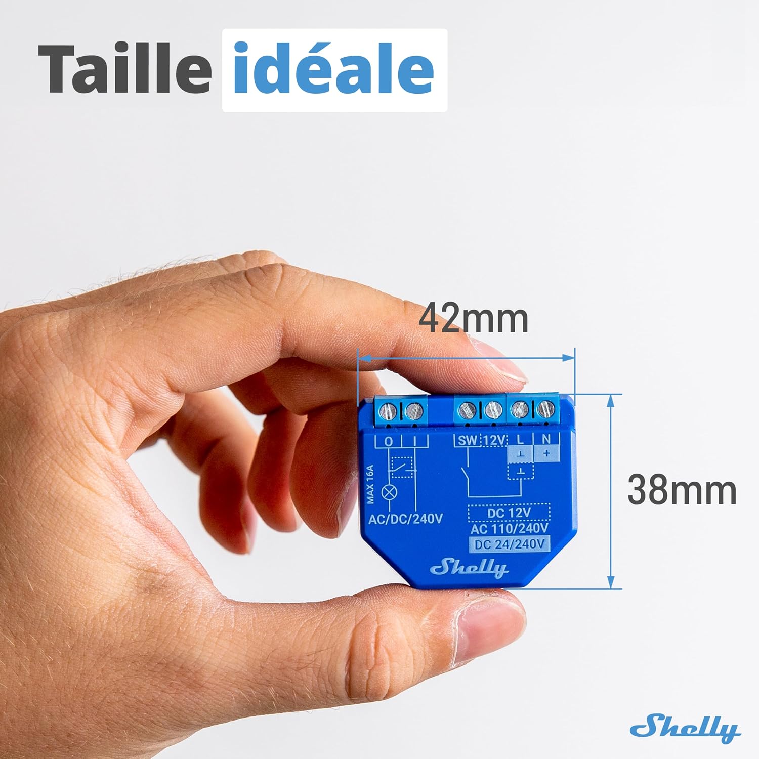 Shelly Plus 1 Dimensions