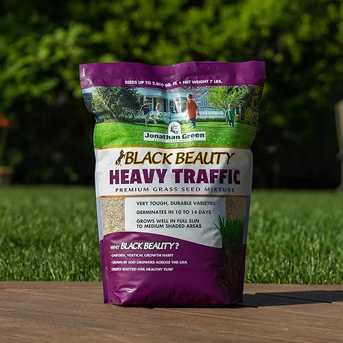 Miniatura 3 de Jonathan Green 10980 Black Beauty - Semilla de hierba de tráfico pesado - Semilla de césped de temporada fría 25 libras
