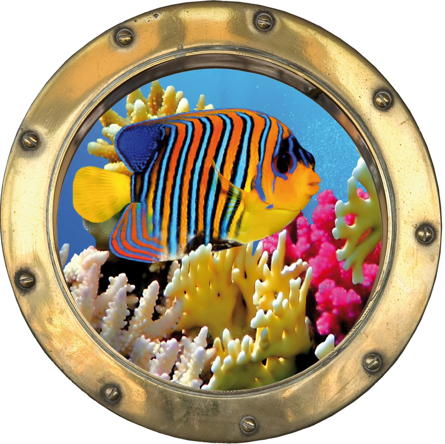 Sticker Hublot et poissons tropicaux, fond blanc