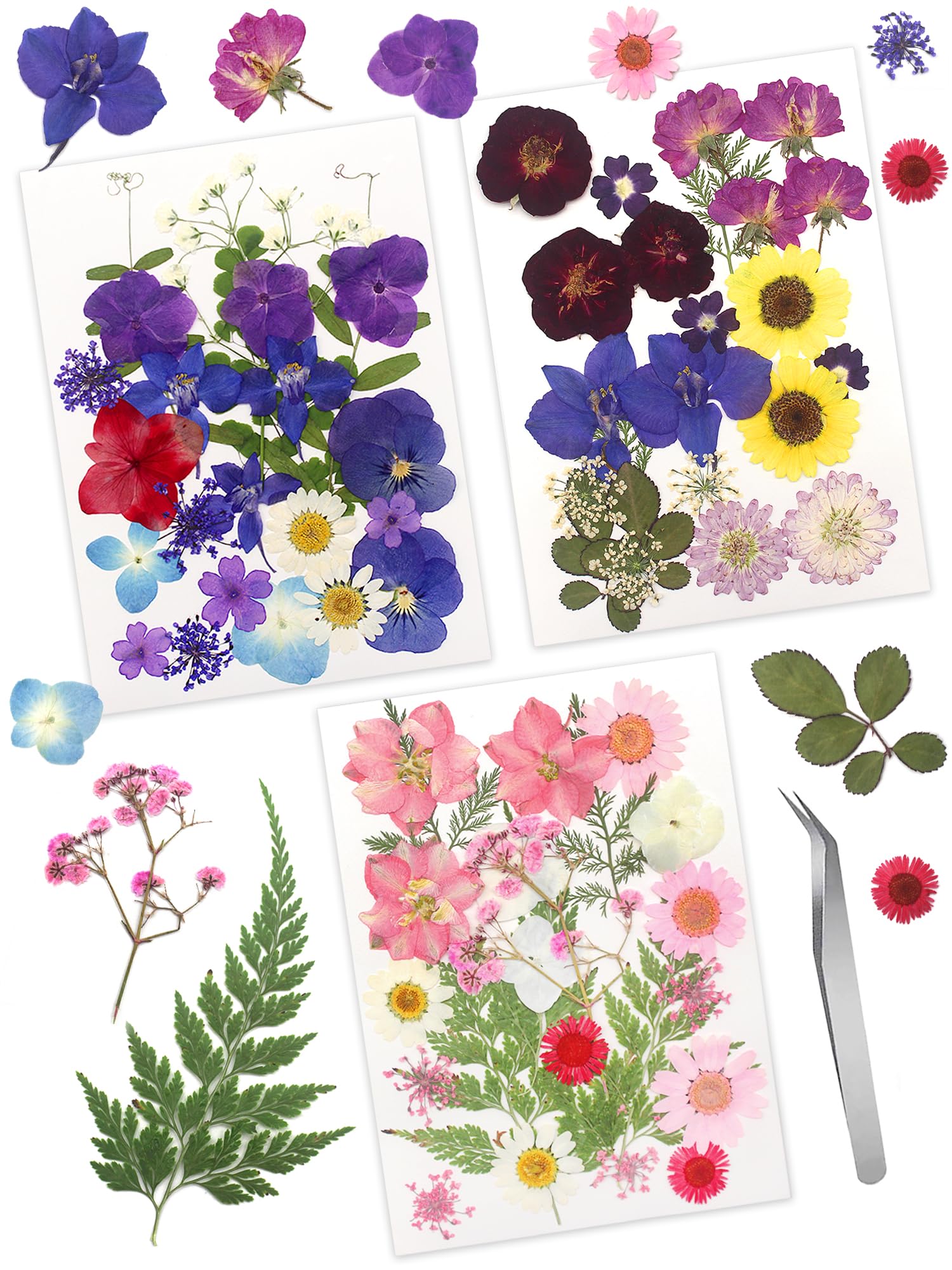68 fiori e foglie essiccati veri secchi pressati, petali naturali secchi verdi con pinzette per candele, resina, gioielli, sapone, ciondoli per unghie, custodia per telefono, decorazioni