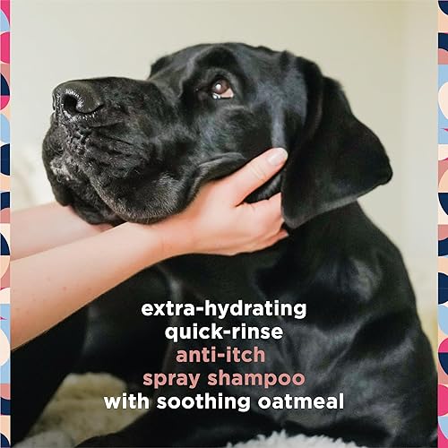 Miniatura 4 de Pet Life Unlimited Champú en aerosol espumoso para aliviar la picazón para perros, limpieza rápida, aplicador en aerosol bidireccional, fabricado en